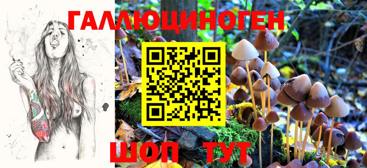 Ялуторовск  Псилоцибиновые грибы ЛСД  Вход с VPN  Псилоцибиновые грибы Psilocybe 